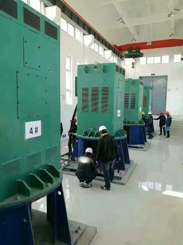 龙陵某污水处理厂使用我厂的立式高压电机安装现场